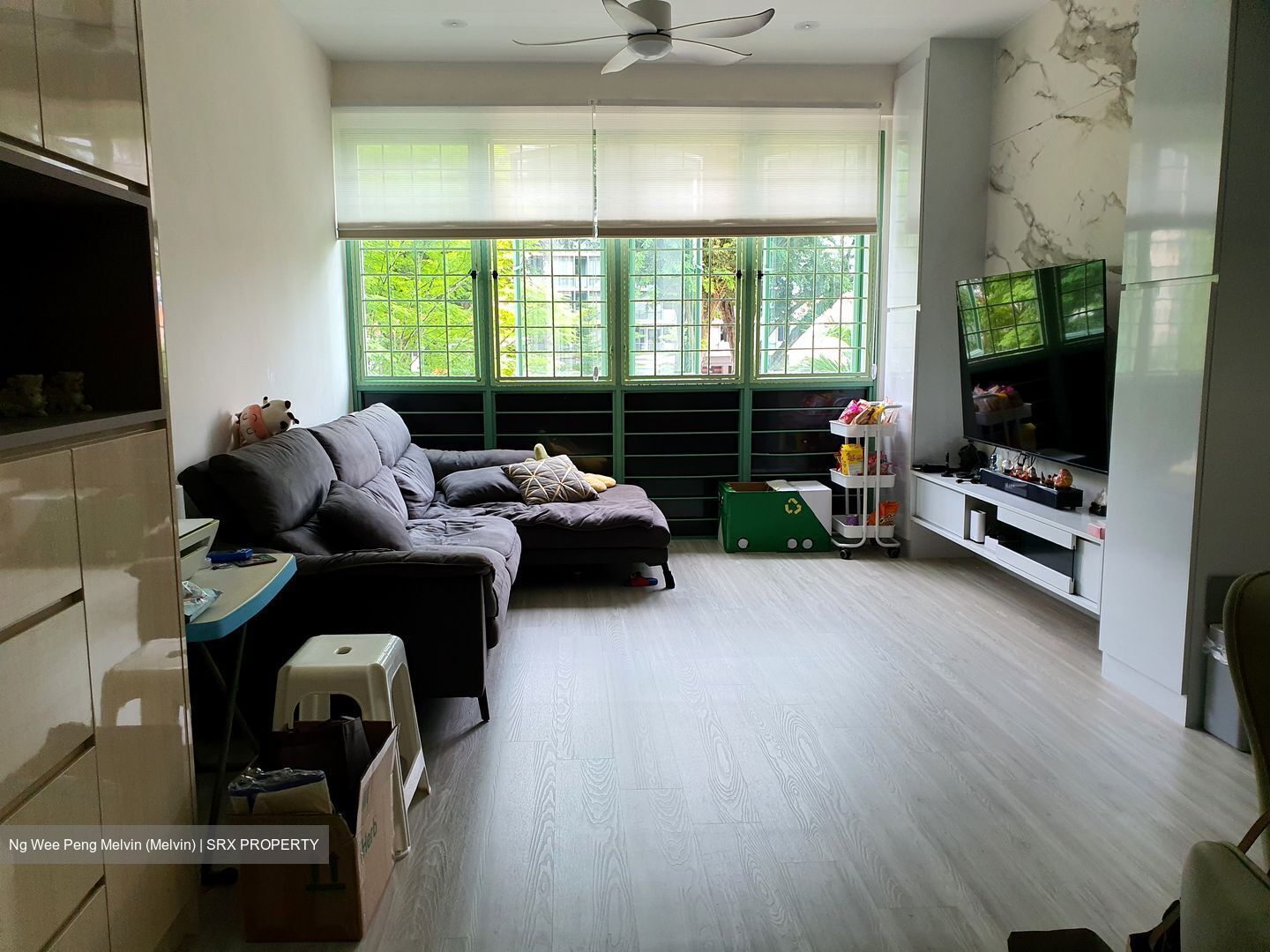 The Sunny Spring (D14), Apartment #579788561